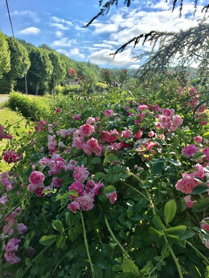 La Provencale B&B Duravel 外观 照片