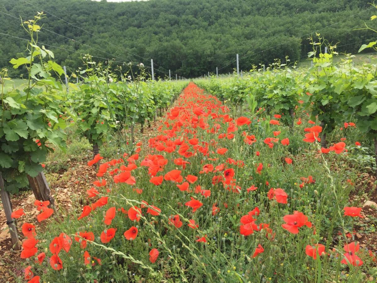 La Provencale B&B Duravel 外观 照片